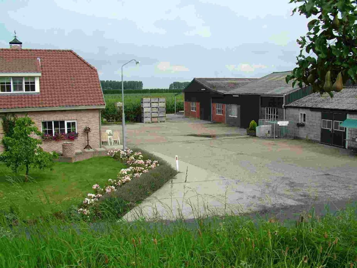 Villa Voormalig Strandhuisje In Boomgaard In Hengstdijk Extérieur photo